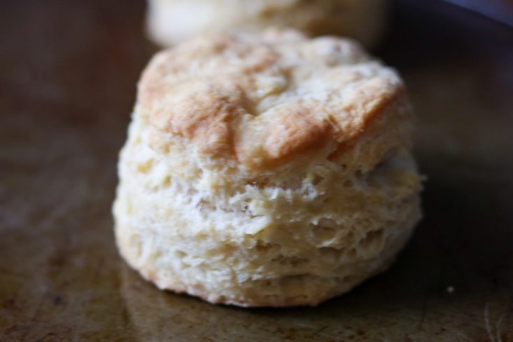 Coconut Oil Biscuits